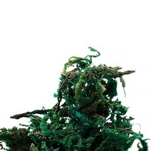 셀프벨 샐러드 표현제 미니어처 토핑