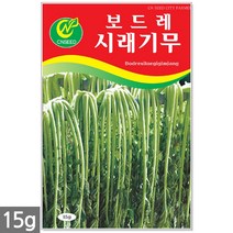 왜성적피 강낭콩 씨앗 30g - 콩씨 콩씨앗 씨 강낭콩씨 빨간강낭콩 붉은강낭콩씨앗 씨 강낭콩씨앗 주말농장 텃밭, 12_시래기무(15g)