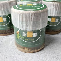 담양 천연 대통밥 210g x 4개 영양밥 대나무통밥