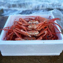 후포리 홍게 4kg(9-11미내외) 박달급 수율 내장맛 일품인 산지발송 자숙홍게