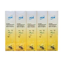 애터미 치약 플러스, 200g, 5개