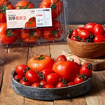 스테비아 방울토마토 하루토망고 핵꿀맛 토마토 맛집 산지 500g, 4팩