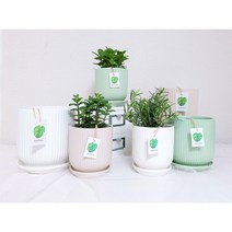 민트화분 핑크화분 화분 빈 분갈이 화이트 빈티지 세라믹, 그레이