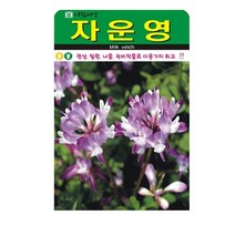 SN월드 야생화 씨앗 꽃씨앗 모음, 야생화 - 자운영(1000립)