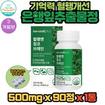 기억력 혈행 관리 앤 징코 브레인 90정 X 1통 3개월분 식약처기능성 은행잎추출물 분말 에스 정 혈액순환제 비타민 미네랄 켐페롤 빌로발라이드 징코라이드 플라보놀 배당체, 1개