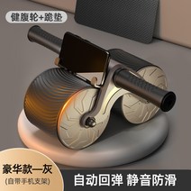 남자 가정용 복근운동기구 력식 뱃살 보정 복근훈련 백익스텐션, T03-럭셔리스타일 재가 자동으로 미끄 정음