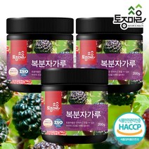 토종마을 [토종마을]HACCP인증 국산 복분자가루 200g X 3개, 기타, 기타