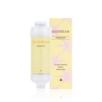 바디빔 비타민 샤워필터 4종 택1, 망고피치향