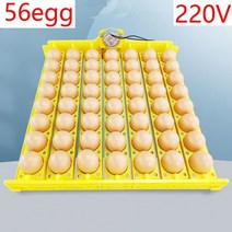 계란 부화기 병아리집 알 인큐베이터 턴 트레이 닭 오리 및 기타 가금류 인큐베이터 자동으로 계란 가금류, 04 56egg 220V, 56egg 220V