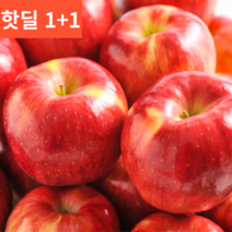 (핫딜)1+1 흠집 홍로 파지 기스 부사 대과 20키로/10kg 2박스/1박스 24-29과