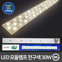 두영 LED모듈램프 안정기없이 교체가능한 모듈 LED모듈 LED기판, 04. 두영 LED모듈램프 30W KS 전구색 53CM