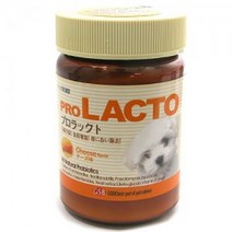 [ILΞ6] 프로락토 장기능 치즈맛 20g 강아지 영양제 동물 용품 반려견 관리 건강 애견 애완_Eη3270Ml, 옵션없음[^%&], Ξ해당상품η, Ξ해당상품η
