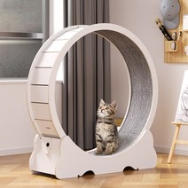 [캣휠캣타워] 차밍펫 캣휠 무소음 국내배송 캣워크 고양이 운동기구 3세대 내부지름 80cm