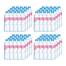 아이시스 8.0 500ml 80PET