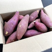 [세척] 간식용 꿀고구마 한입사이즈, 1kg