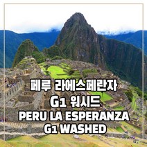 (커피생두) 85 페루 라에스페란자 G1 워시드 1kg, 1개
