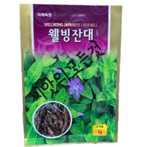 토종잔대씨앗1g 국산딱주씨앗 재래종 사삼종자 토종 미래종묘, 1개