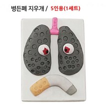 금연교육 diy 지우개 클레이 만들기 병든폐 5개
