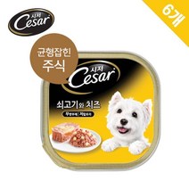 애견습식사료 시저 캔 쇠고기와 치즈 100g 6캔 나우사료 토우사료 푸들사료 소형견사료 강아지밥 유기농사료 강아지간식 대형견사료 강아지패드 강아지습식사료