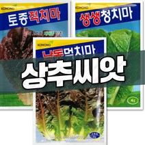 상추 씨앗 세트 3종 x 4g 1개 생생청치마 낙동먹치마 토종적치마)
