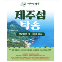 [목포항-제주항]에쿠스 G90 K8 K9 다이너스티 오피러스. 아슬란
