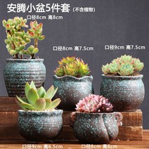 망포트 이색포트 달항아리화분 슬릿분 도자기 플라스틱화분 데로마 인테리어화분 빈티지 395ea2, 샴페인 앤티엔 화분 5종 세트