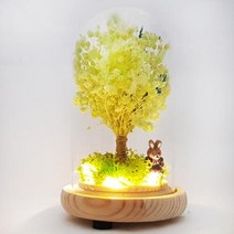 아트박스/숲앤숨 LED 유리돔 라임 안개나무 무드등 - 프리저브드 드라이플라워, 본품