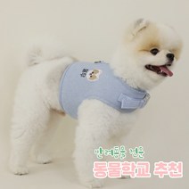 리토가토 러비 커스텀 캐릭터 강아지 하네스 + 리드줄 세트 블루 (컴퓨터 자수) 동물학교 추천, 민트