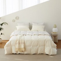 [소프라움]페이톤 폴란드80 60수 구스다운 간절기 차렵이불 싱글