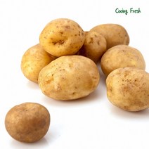 쿠잉Fresh 수미감자 햇감자 강원도 국내산 감자 3 5 10kg 중 대 특 왕특, 쿠잉Fresh 감자 중 5kg(알감자)