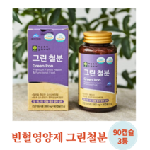 변비없는 임산부 철분 철분제 빈혈 임신준비 임신중 여성 산모 임신초기 출산후 철분 영양제 철분부족 철결핑성빈혈 여성 빈혈 철분제 유산균 배양물 철분 90캡슐, 90캡슐 3통