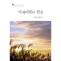 억새바람의 전설:이용직 장편소설, 들메나무, 이용직