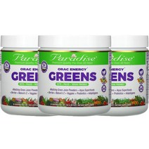 2+1 파라다이스허브 ORAC Greens 182g 가시오갈피 동충하초 아가리쿠스 이눌린 잎새버섯 아티초크 밀크시슬 아사이 베리즙 아쉬와간다 크랜베리 클로렐라 로디올라 함유, 1개, 기본
