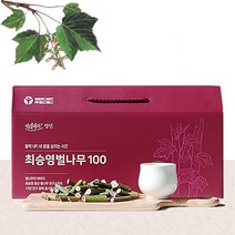 정선송약초 토종 벌나무즙 100 벌나무 엑기스 진액 효능 최승영 100ml 30포