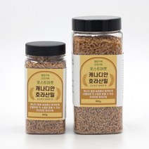 호라산밀 잡곡쌀 당뇨쌀 당뇨식 잡곡밥 건강식 캐나다산 슈퍼푸드 1.2kg