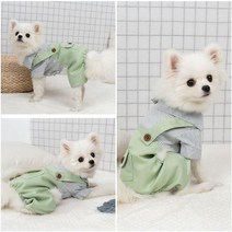 그린 강아지멜빵 스트라이프 올인원 애견의류 닥스훈트옷 토이푸들옷 오버롤 외출복 겨울옷 팬츠 내복, 이백프로 쿠팡 S