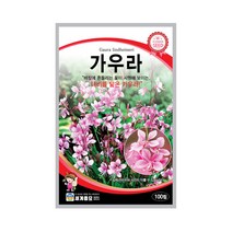 가우라 100립 꽃씨앗 바늘꽃과 다년생 나비 바늘꽃, 1개