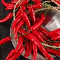 모조야채/모형채소 빨간고추 주렁주렁 고추 모형