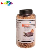 레인보우 감마루스1000ml-투명통, 1개, 1000ml