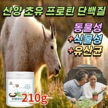 산양 초유 프로틴 mbp 동물성 식물성 산양유 단백질 많은 아침대용 쉐이크 에좋은 음식 분리유청 분리대두 단백 우유 분말 가루 성인 노인 어르신 분유 고트 밀크 파우더 성인용