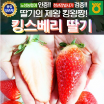 프리미엄 논산 킹스베리 1kg 농협인증 논산딸기 산지직송 대왕딸기 주문후 즉시수확