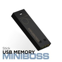 [바보사랑] MINIBOSS STICK 메모리카드 16GB, 블랙