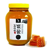 대한민국농수산 청정 산청 100% 아카시아꿀 1.2kg, 100%아카시아꿀, 1개