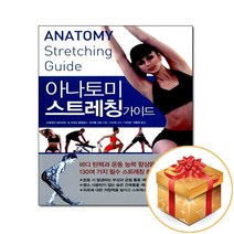 아나토미 스트레칭 가이드