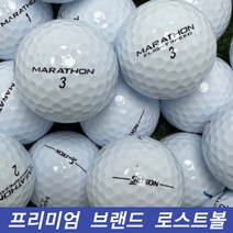 타이틀리스트 캘러웨이 볼빅 던롭 스릭슨 브랜드 모음 흰색 형광색 로스트볼 골프공, 유명브랜드 화이트 A.A- 10알