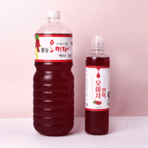 오미자 엑기스 여름음료 원액 대용량 과일청 카페용 500ml 1.8L, 500ml 2병