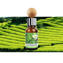 미니컨버터블 방향제 디퓨저 고급 송풍구형 탈취 차향수 퍼퓸 향기마을, 향기마을디퓨저 / 제주녹차