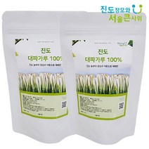 진도장모와서울큰사위 국산 대파 분말 가루 100g 무첨가 원물그대로 100%, 2개