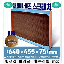 클린한 집안환경 냄새줄여주는 고양이 모래 고양이모래종류 고양이모래버리기