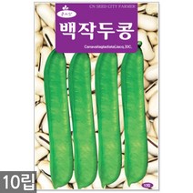 다다기오이 씨앗 15립 - 오이씨 오이씨앗 다다기오이씨앗 오이 씨 다다기오이씨 반백계 주말농장 텃밭, 18_백작두콩(10립)